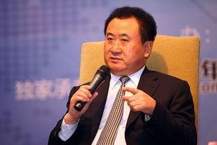 娱乐吃瓜酱王健林